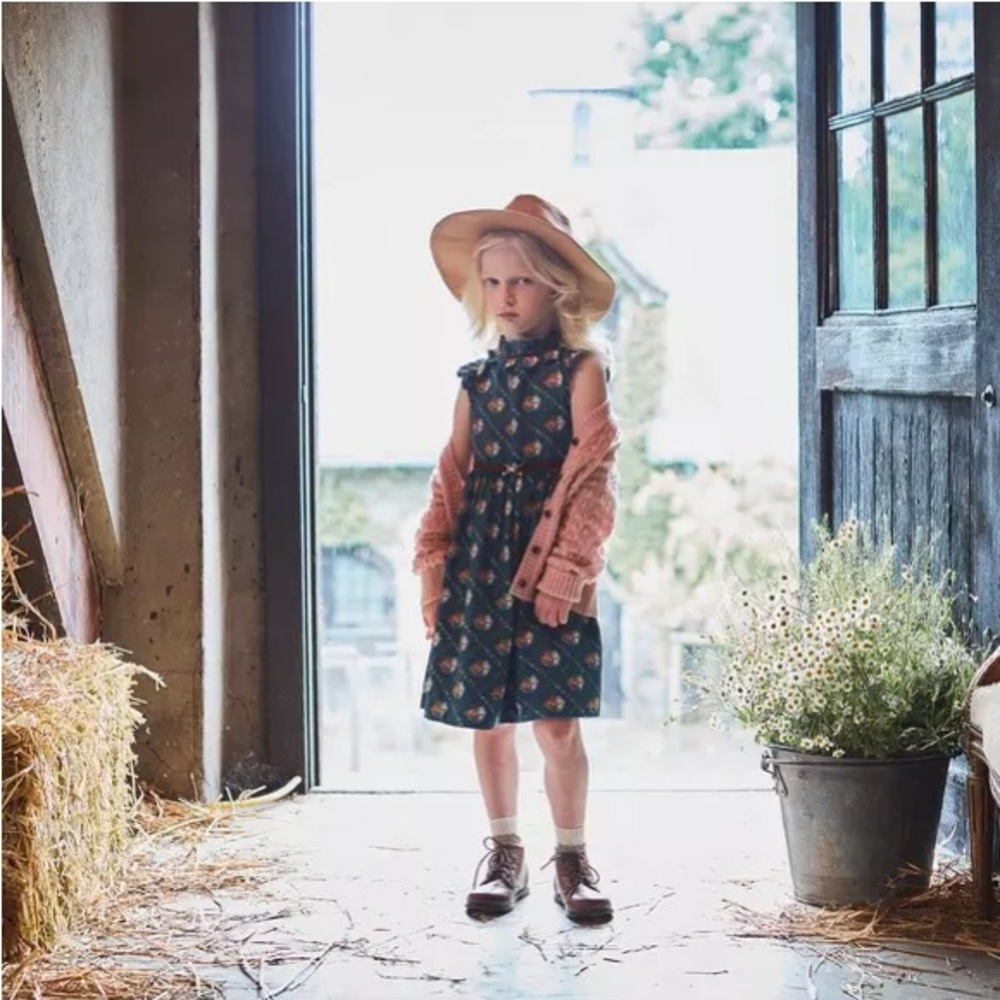 Janie and Jack HORSE RUFFLE COLLAR DRESS size 4T